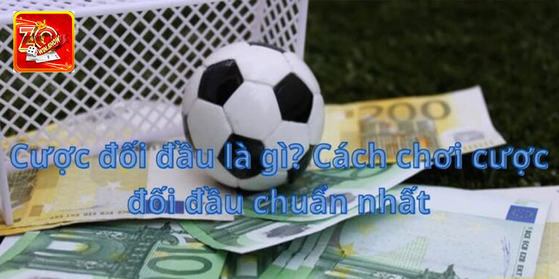 Cược Đối Đầu - Kèo Cược Hấp Dẫn Dành Cho Các Bet Thủ Tại sao nhiều người chọn kèo cược đối đầu?