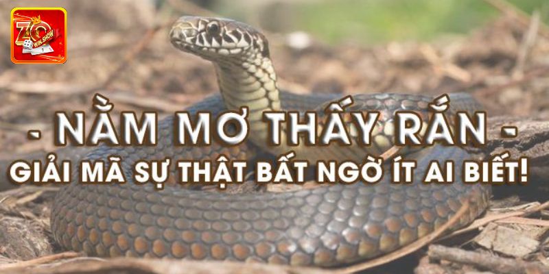 Giải Mã Giấc Mơ Thấy Rắn Cùng Chuyên Gia Tại Zowin Mơ thấy rắn là điềm gì?