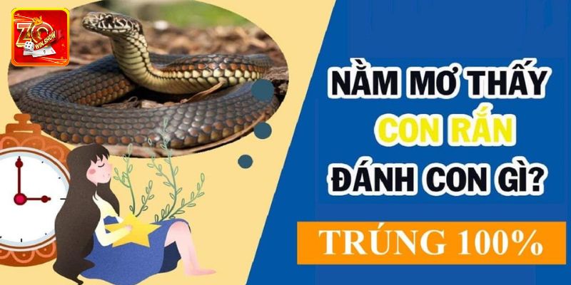 Giải Mã Giấc Mơ Thấy Rắn Cùng Chuyên Gia Tại Zowin Giải mã giấc mơ thấy rắn và con số phát tài