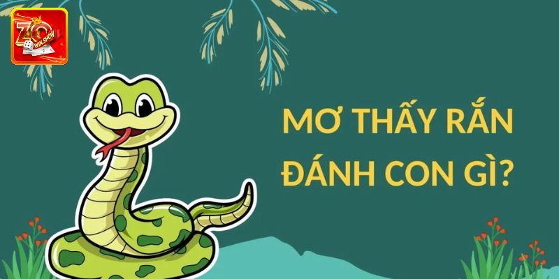 Giải Mã Giấc Mơ Thấy Rắn Cùng Chuyên Gia Tại Zowin Mơ thấy rắn lột xác